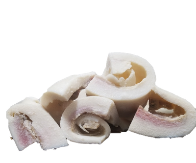 Red Snapper Fish